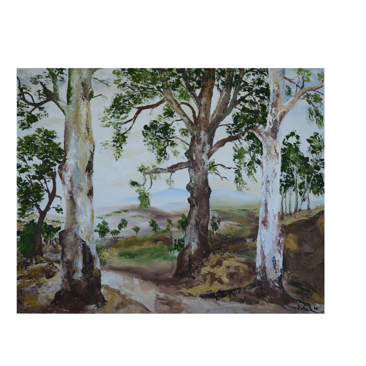 Entry 1035-1: Terence Pollock