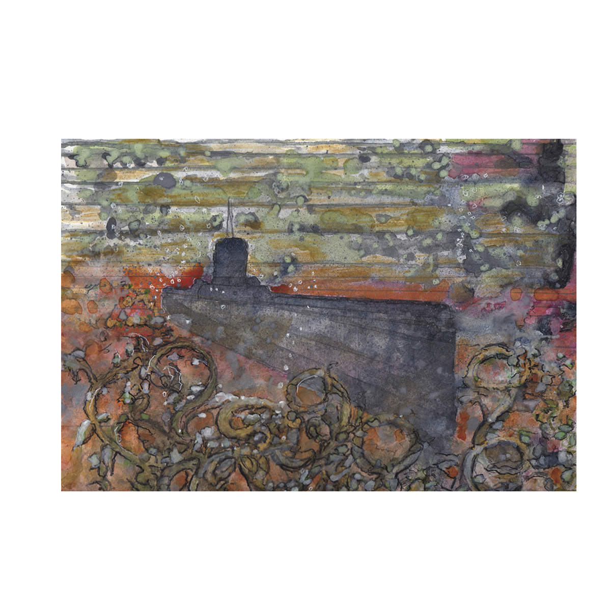 1216_2, Anthony Scibelli